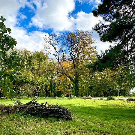 Gite De Corsas Saint-Victor  Exteriér fotografie